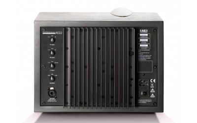 Acoustic Energy Professional AE 22 Active