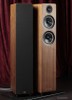   Acoustic Energy AE309    "  "    Audio Video,   " "