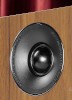   Audio Video    Hi-Fi ,    .       100-    120  Acoustic Energy